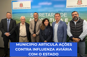 Bastos no combate à gripe aviária 