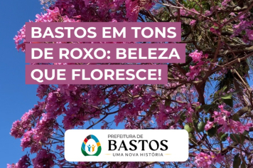 A Florada dos Ipês