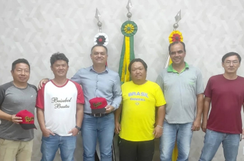Beisebol