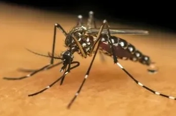 Números atualizados