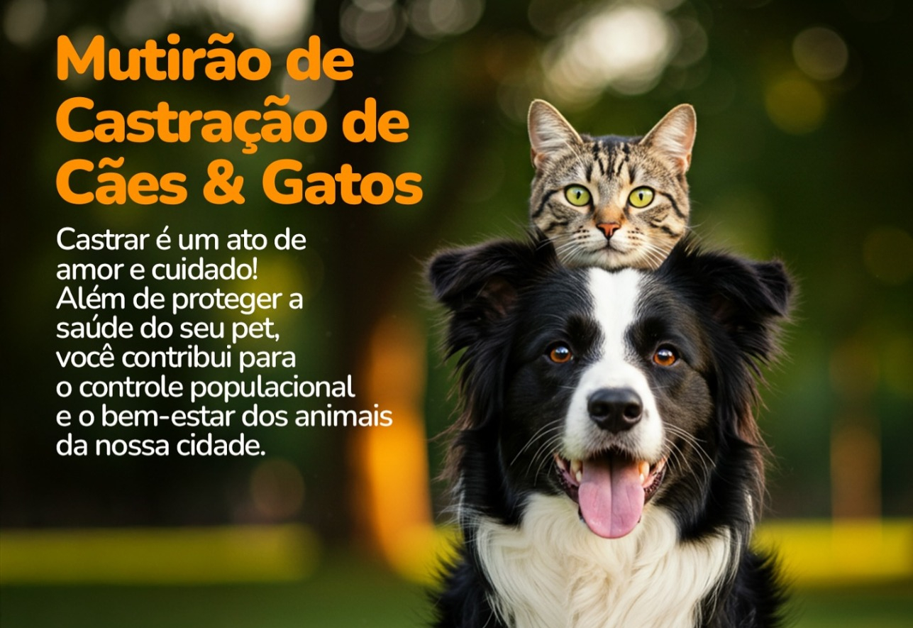 Saúde e bem-estar dos animais