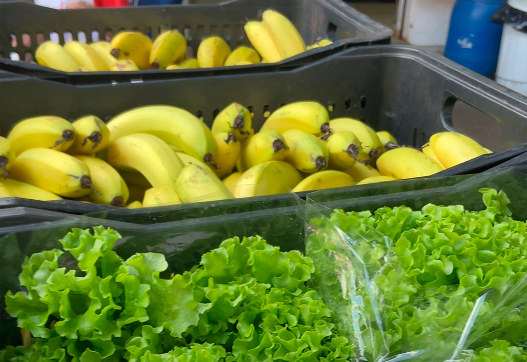 Alimentação segura e nutritiva