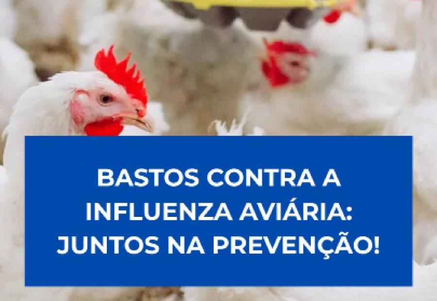 União para blindar economia
