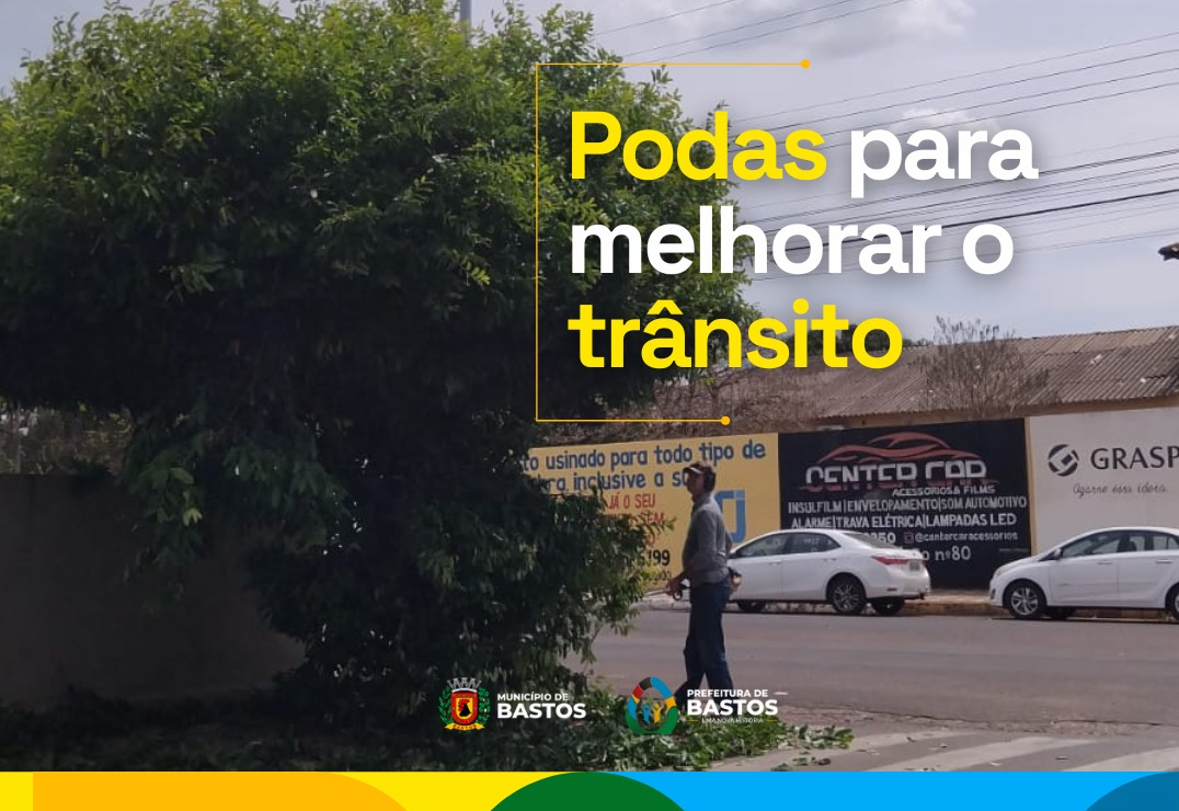 Podas: saúde das árvores e mobilidade urbana